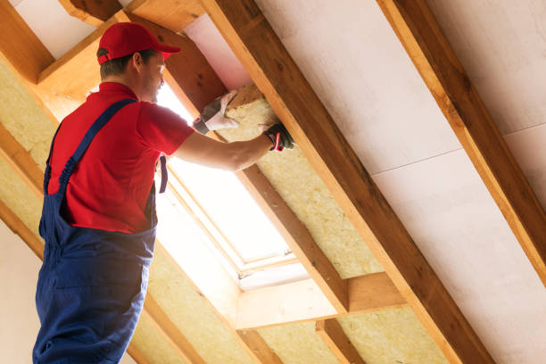 Best Insulation for Existing Homes  in USA